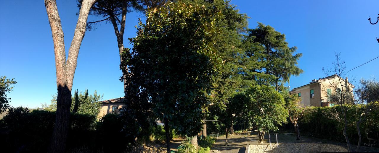 Paola 3* Siena